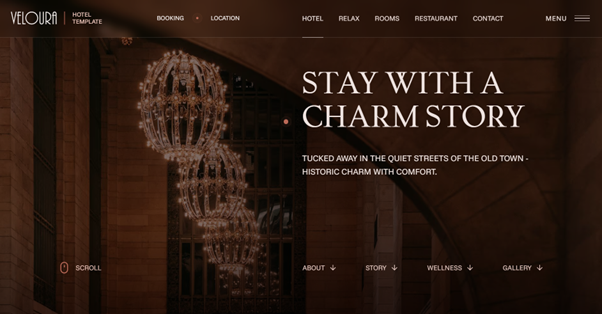 Premium website design reference